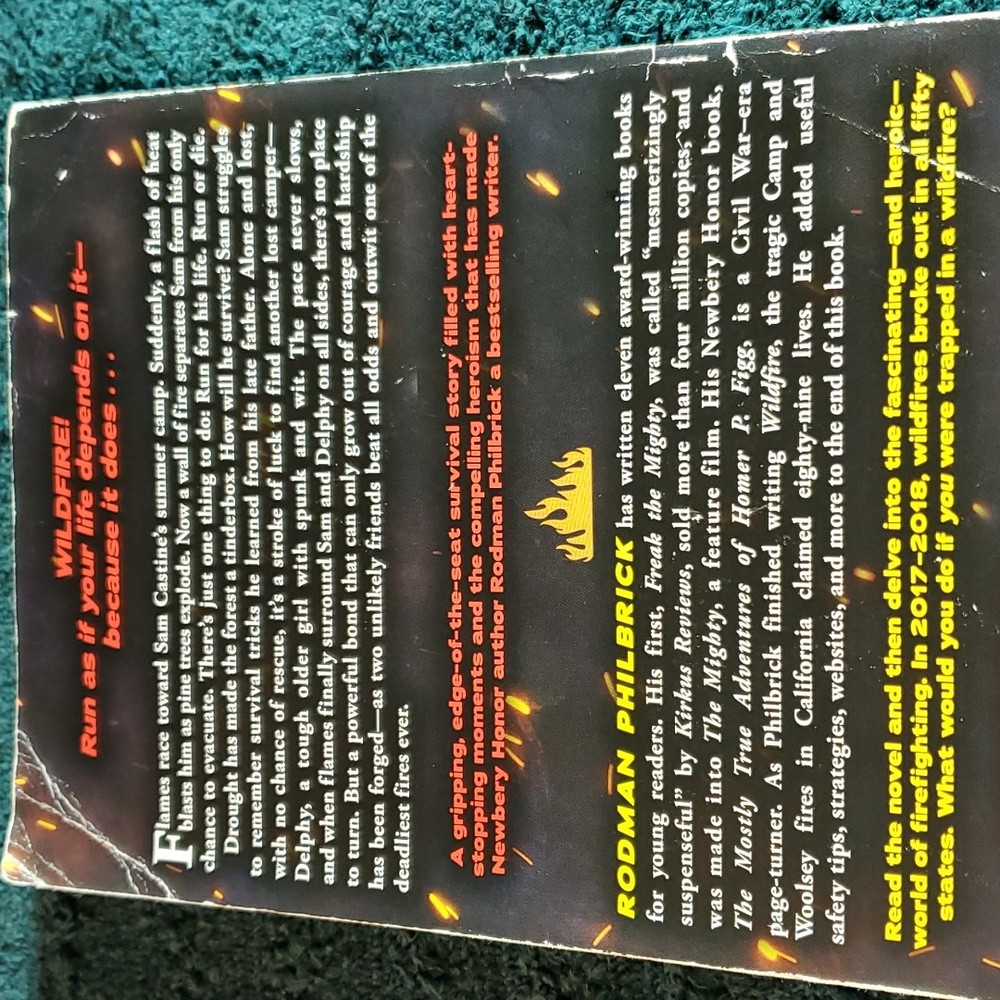 Wildfire - Picture 2 of 4